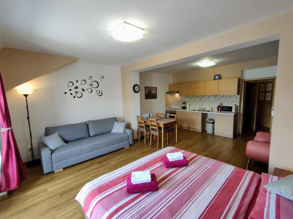 Bohemica Apartments Decin Exterior photo