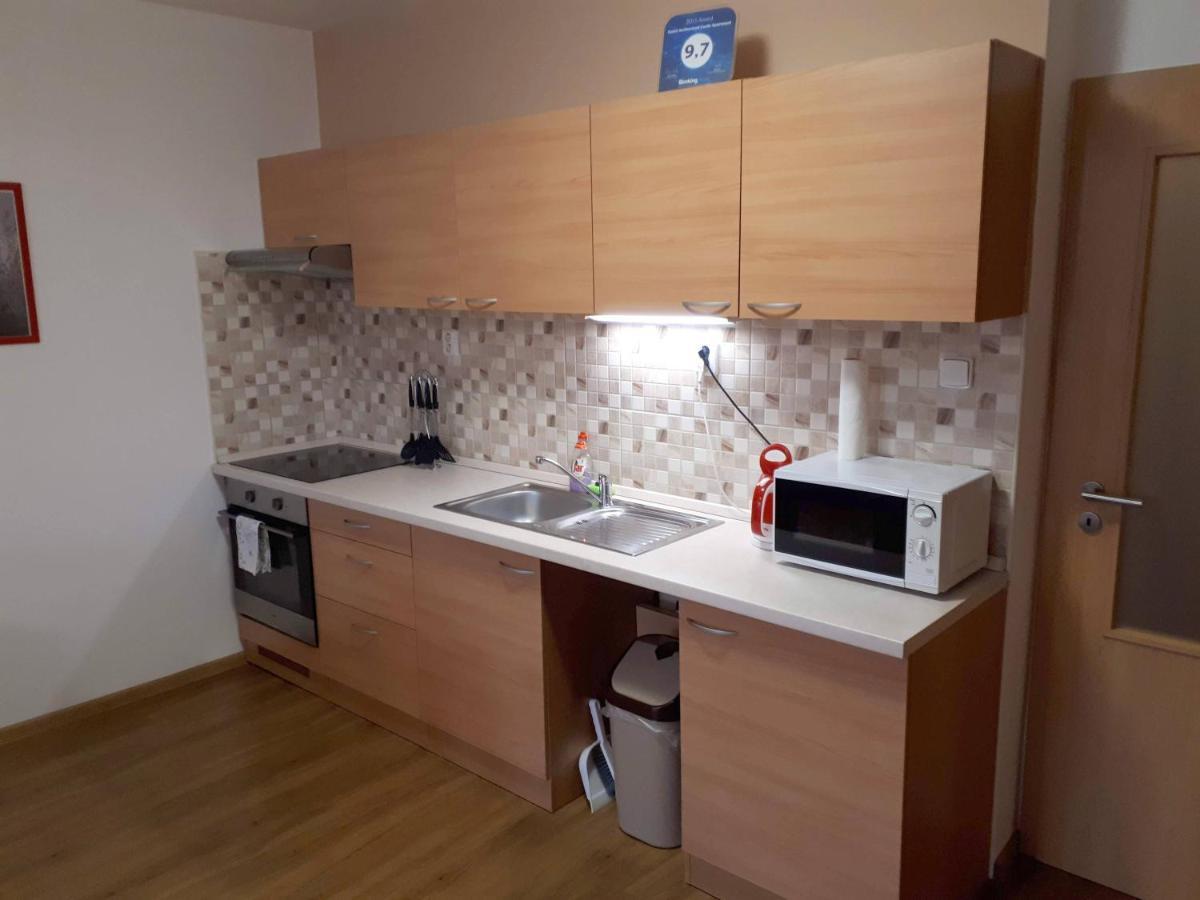 Bohemica Apartments Decin Exterior photo