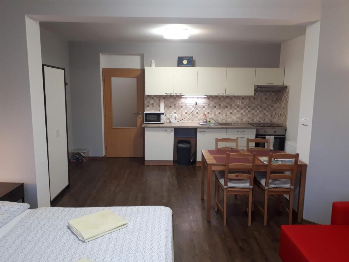 Bohemica Apartments Decin Exterior photo